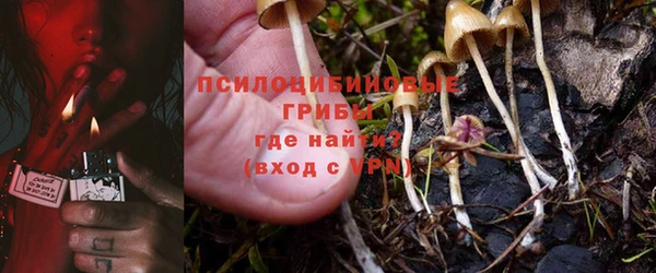 бошки Абдулино