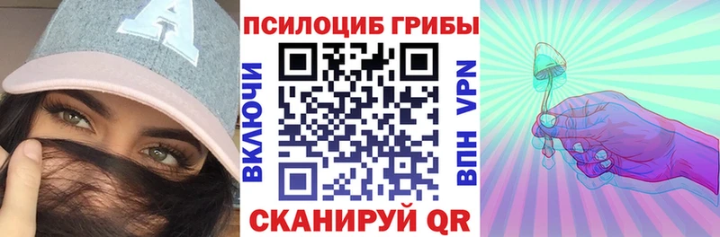 Галлюциногенные грибы Psilocybine cubensis  Нягань 