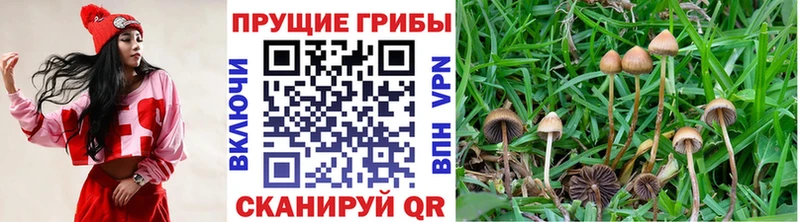 Галлюциногенные грибы MAGIC MUSHROOMS Нягань