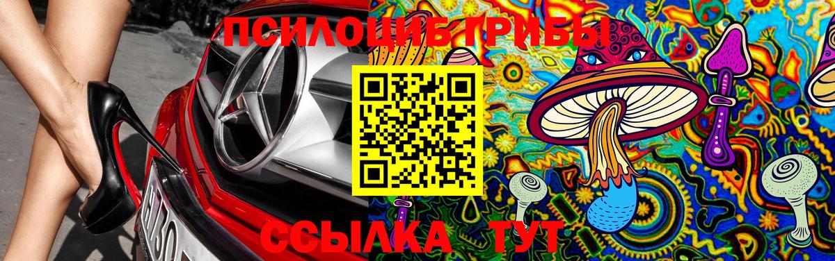 Нягань  Псилоцибиновые грибы Psilocybine cubensis  Вход с VPN  Псилоцибиновые грибы Cubensis 
